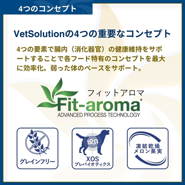 Monge VetSolution モンジ ベッツソリューション 胃腸サポート 成犬用 3kg 単品購入 3kg