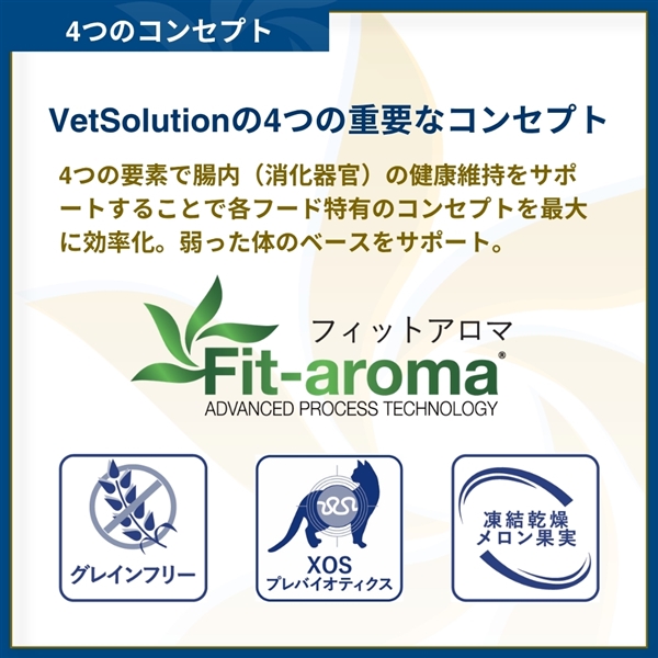Monge VetSolution モンジ ベッツソリューション 猫用 皮膚サポート 400g