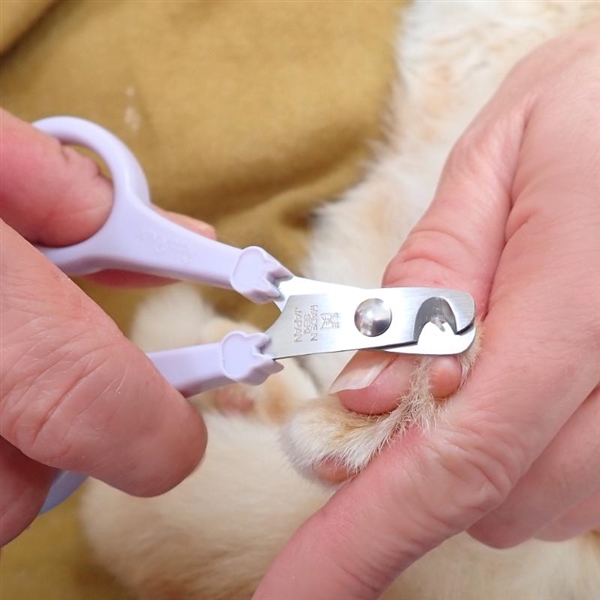 モア もっとやさしい 猫用 爪切り