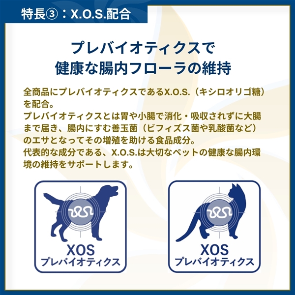 Monge VetSolution モンジ ベッツソリューション 胃腸サポート 成犬用 3kg 単品購入 3kg