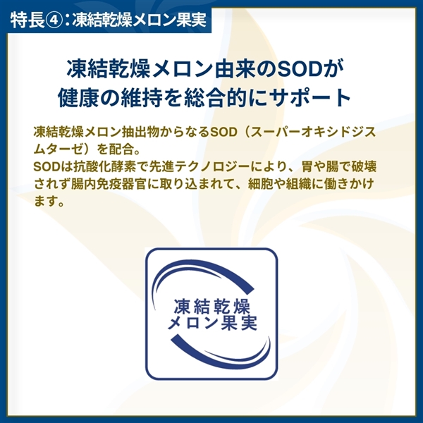 Monge VetSolution モンジ ベッツソリューション 胃腸サポート 成犬用 3kg 単品購入 3kg
