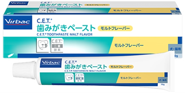 CET歯みがきペースト(モルト) 70G
