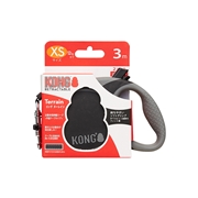 コングターレインＸＳ