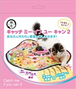 キャッチ・ミー・イフ・ユー・キャン２