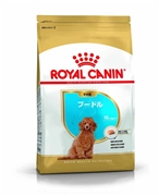 ロイヤルカナン　プードル子犬用1.5ｋｇ