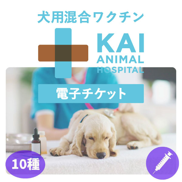 犬10種ワクチン