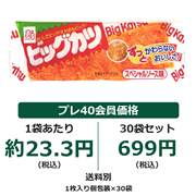 すぐる ビッグカツ