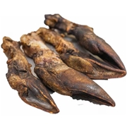 K&D 北海道産 エゾ鹿 ヒヅメ 4個