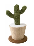 キャットポール　サボテン