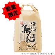 令和8年産 南魚沼産 コシヒカリ 5kg 【玄米】