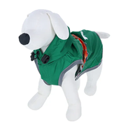 LOGOS （ロゴス） ナバホ柄レインコート グリーン