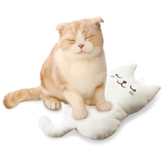 マルカン もみもみ温感クッション