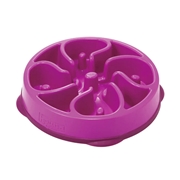 DAD-WAY ファン&スロウフィーダーボウル パープル