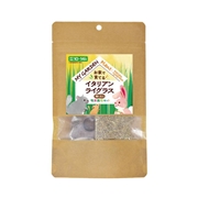 イースター マイガーデン 牧草栽培セット イタリアンライグラス