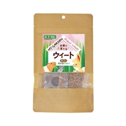 イースター マイガーデン 牧草栽培セット ウィート