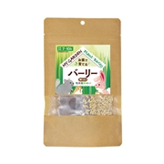 イースター マイガーデン 牧草栽培セット バーリー