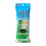 ＧＥＸメダカ水景天然産卵草