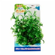 ＧＥＸ癒し水景たっぷりハイグロフィラ