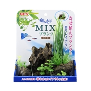 癒し水景ＭＩＸプランツロック