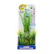 癒し水景ＭＩＸプランツＭシペルス
