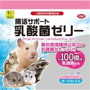 三晃商会 腸活サポート 乳酸菌ゼリー 16g×10個