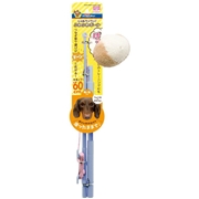 じゃれワンワン！ふわふわボール