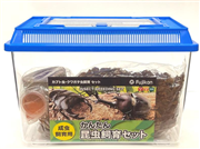 かんたん昆虫飼育セット M