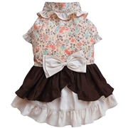 DOGGYDOLLY D484 XS