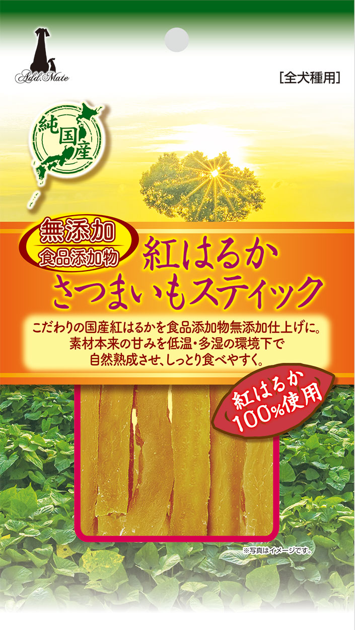 紅はるかさつまいもスティック４５ｇ 定価：528円（税込）