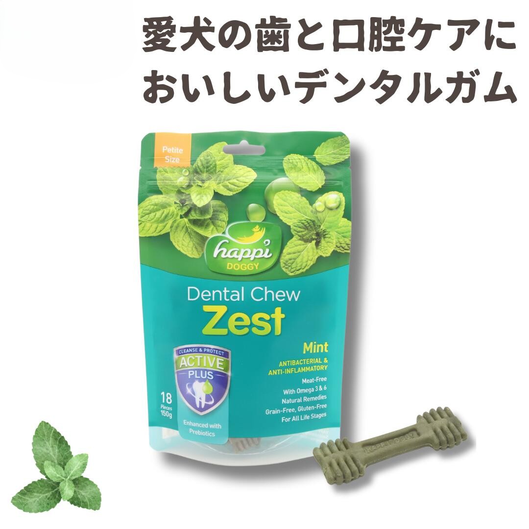 デンタル ガム ・ゼスト・ミント　2.5インチ　(18個入)