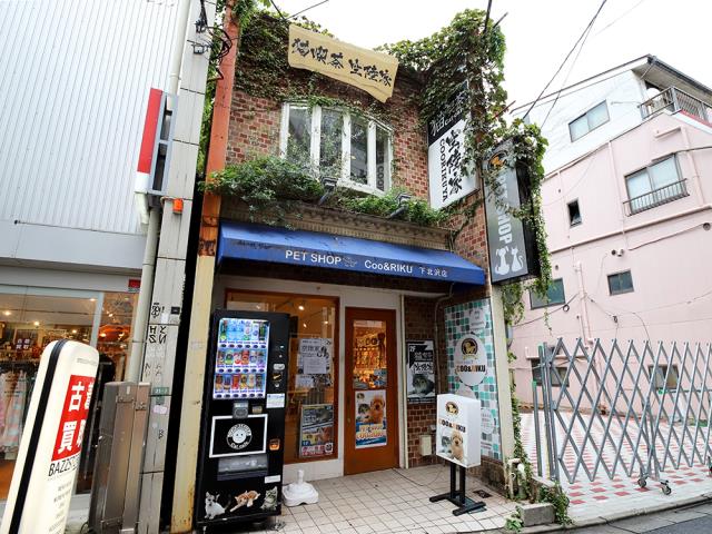Coo&RIKU 下北沢店