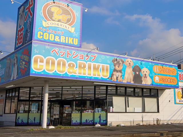 Coo&RIKU 若葉都賀店