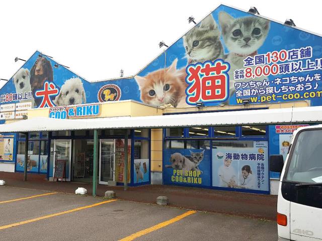 Coo&RIKU 苫小牧店