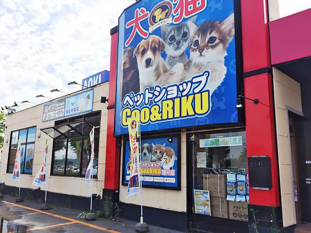 Coo&RIKU 旭川店