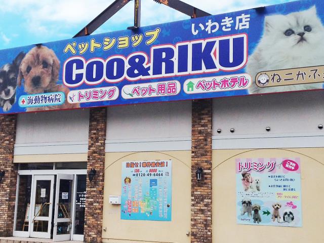 Coo&RIKU いわき店