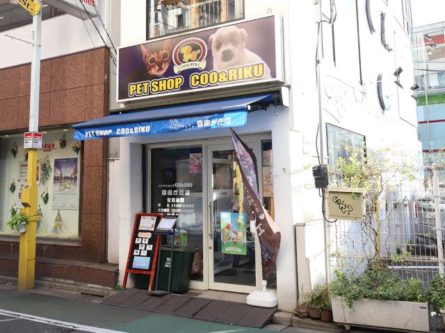Coo&RIKU 自由が丘店