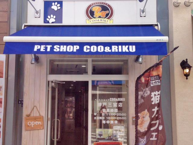 Coo&RIKU 神戸三宮店