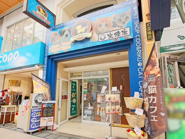 Coo&RIKU 心斎橋店