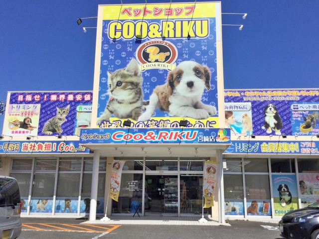 Coo&RIKU 宮崎店