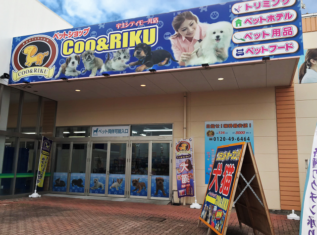 Coo&RIKU 宇土シティモール店