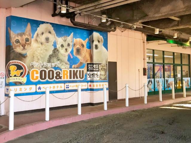 Coo&RIKU カリーノ玉名店