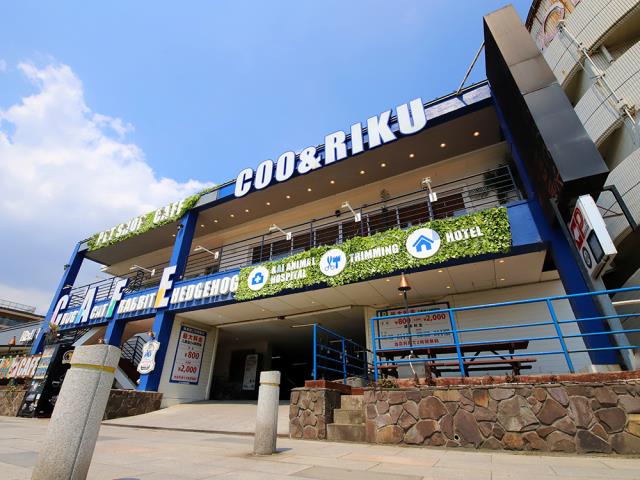 Coo&RIKU 江の島店