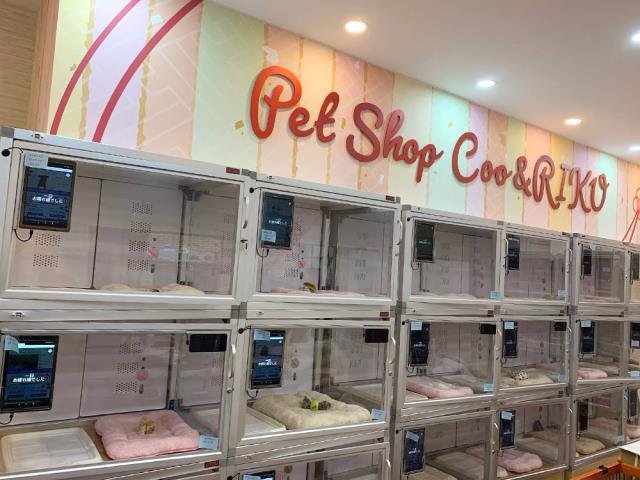 Coo&RIKU 出雲店