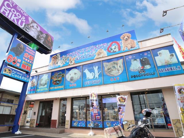 Coo&RIKU 足立本店