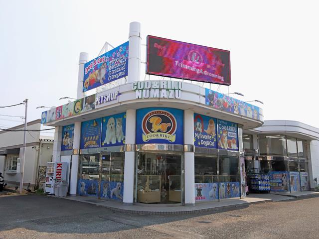 Coo&RIKU 沼津店