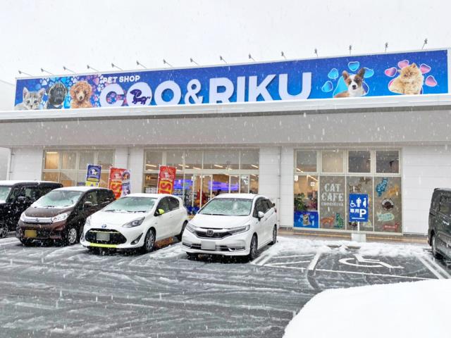 Coo&RIKU ラ・ムー鳥取東店