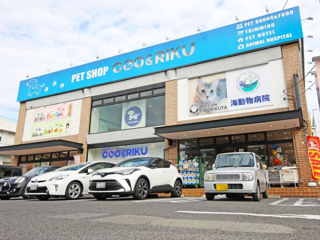 Coo&RIKU 鹿児島店