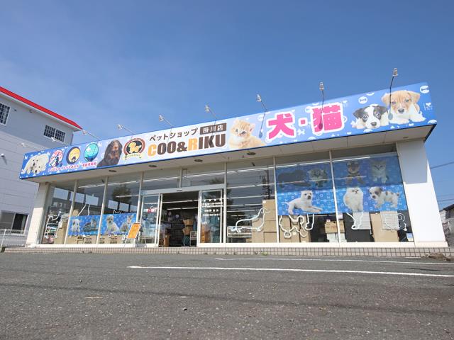Coo&RIKU 掛川店