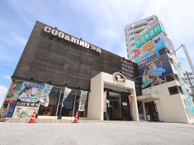 Coo&RIKU 沖縄浦添店