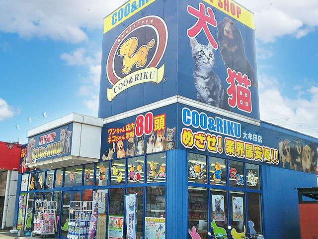 Coo&RIKU 大牟田店